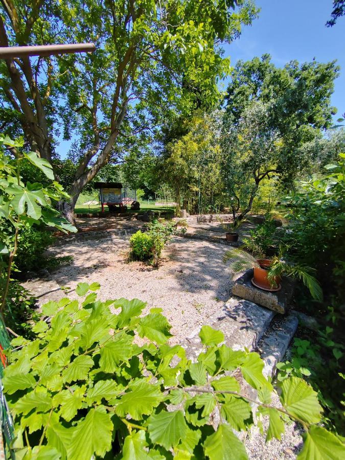 Apartment 700 M Od Mora Valbandon, Hrvatska Fažana Buitenkant foto